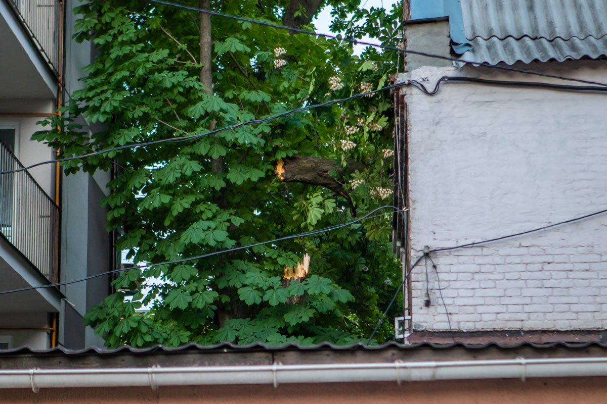 Инцидент произошел на улице Старокозацкой