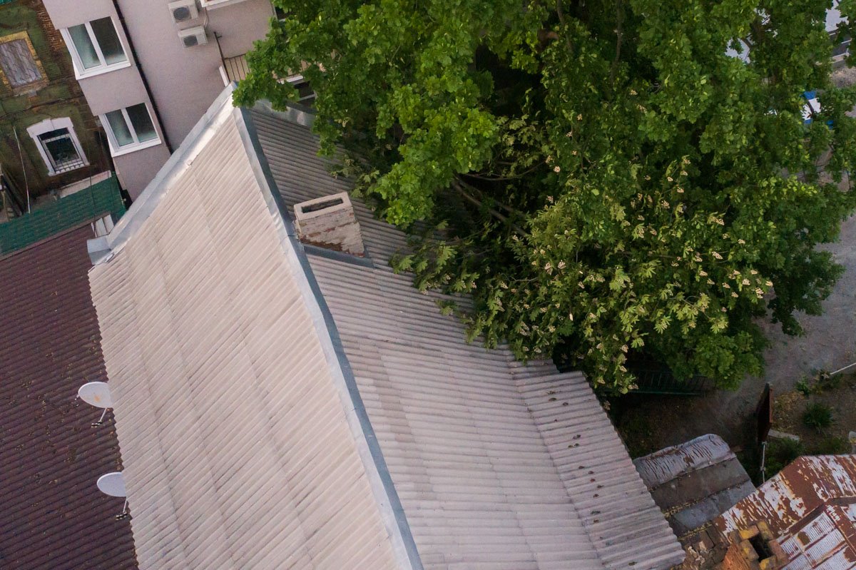 Ветвь достаточно крупная