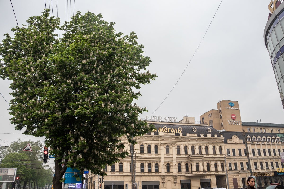 Весенняя красота в Днепре