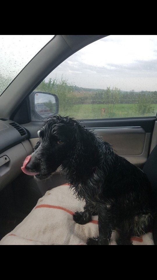 Хочет найтись Хочет найтись