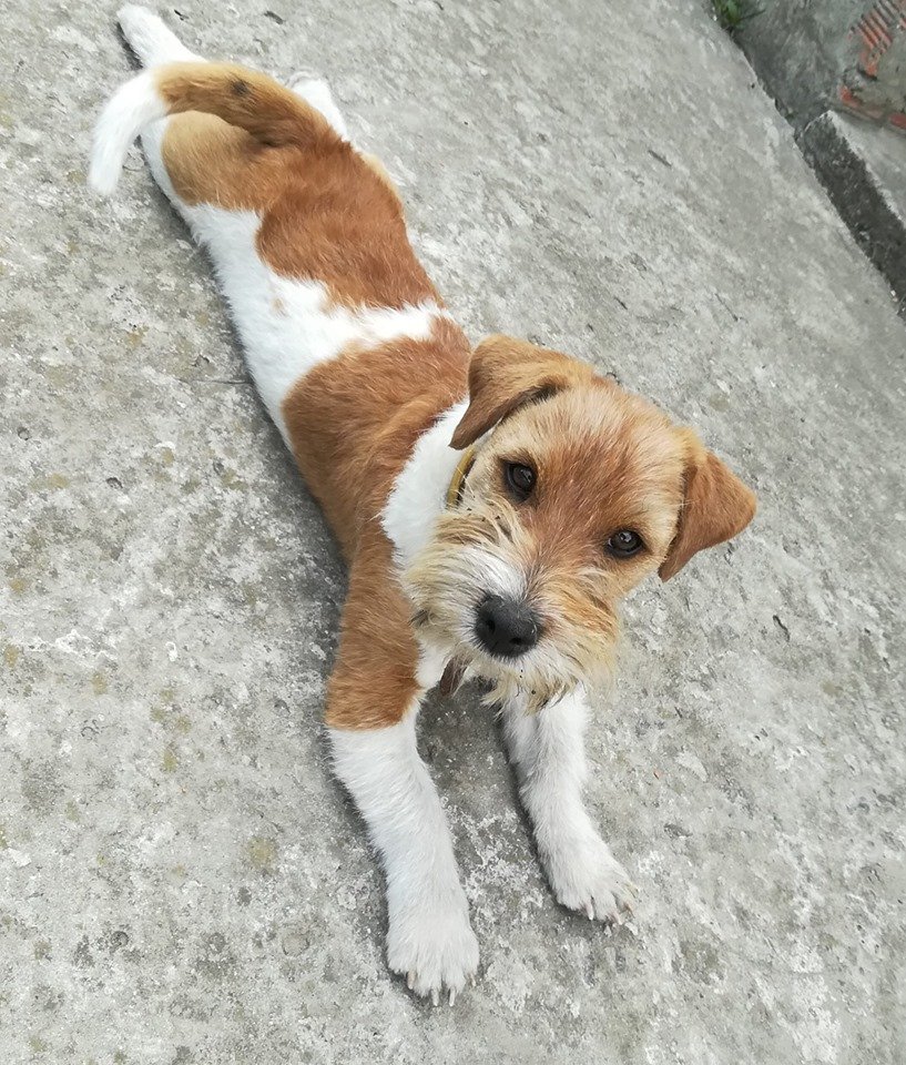 Помогите найти друга Помогите найти друга