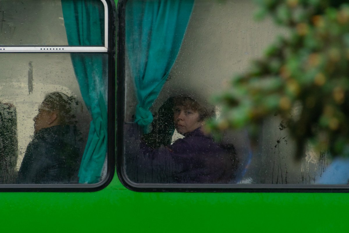 Сырость навевает тоску и желание прокрастинировать Сырость навевает тоску и желание прокрастинировать