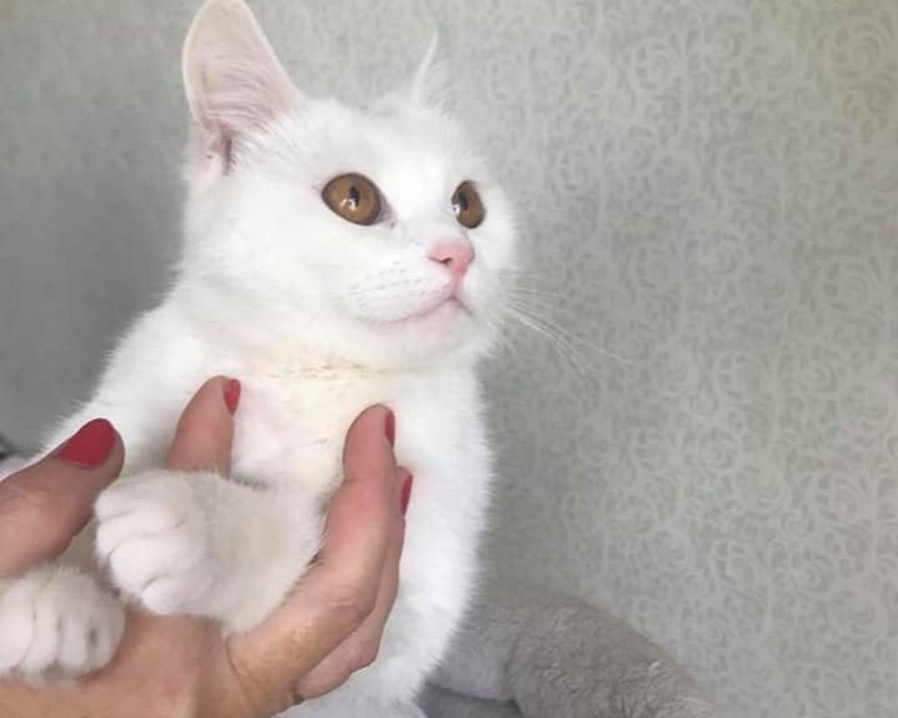Малышке нужно время, чтобы забыть весь тот ужас, который ей пришлось пережить