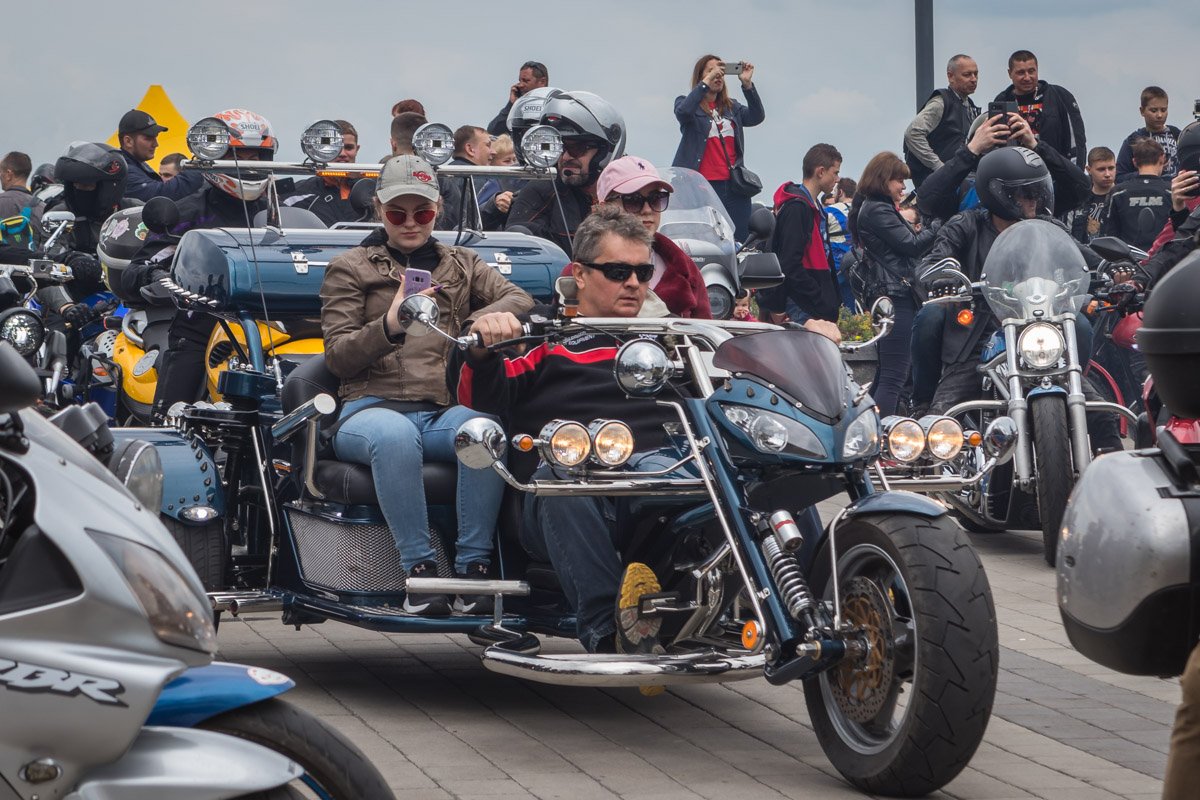 Порхай, как бабочка, жаль, как пчела Порхай, как бабочка, жаль, как пчела