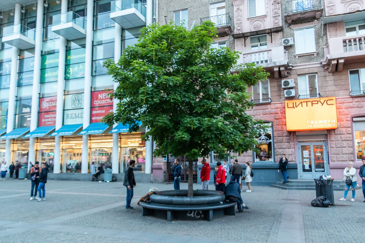 Предварительная причина смерти - тромб
