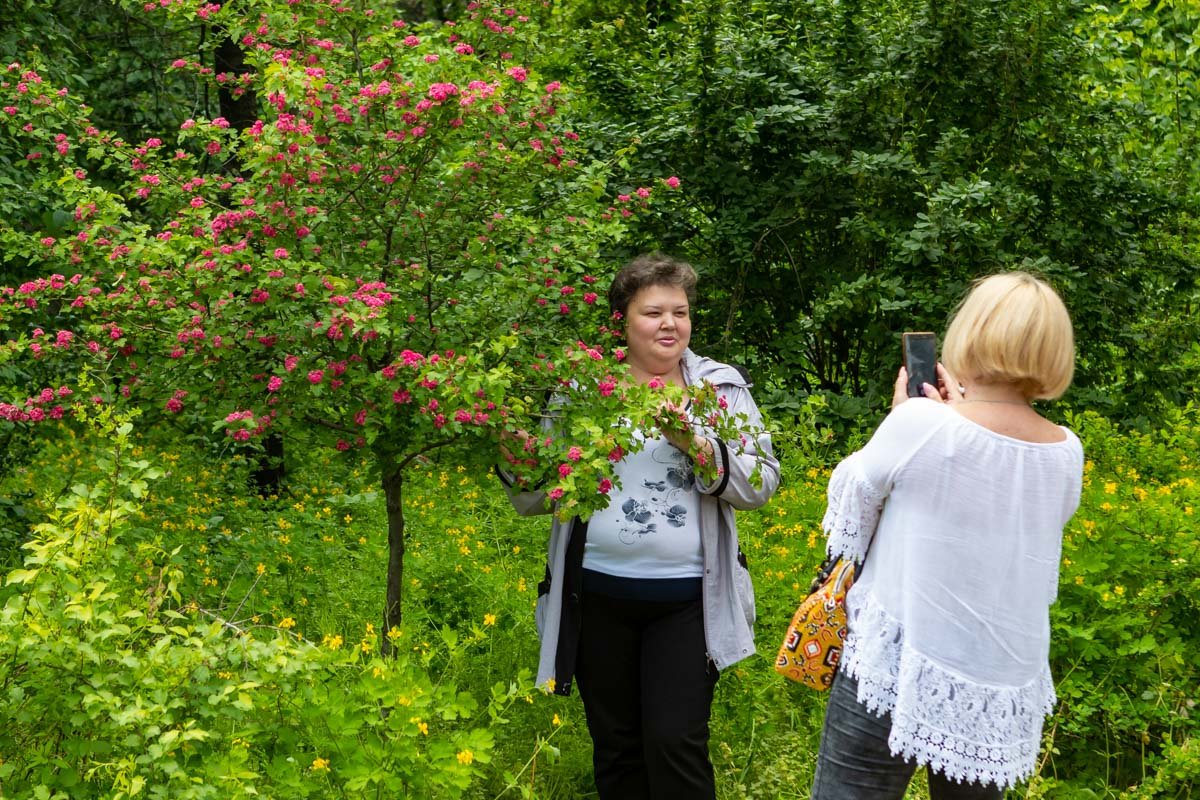 Ботанический сад - отличное место для весенних фото Ботанический сад - отличное место для весенних фото
