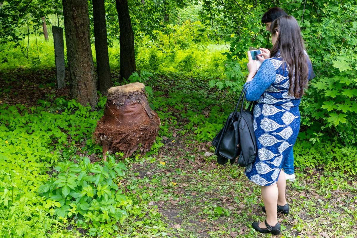 В гостях у сказки В гостях у сказки