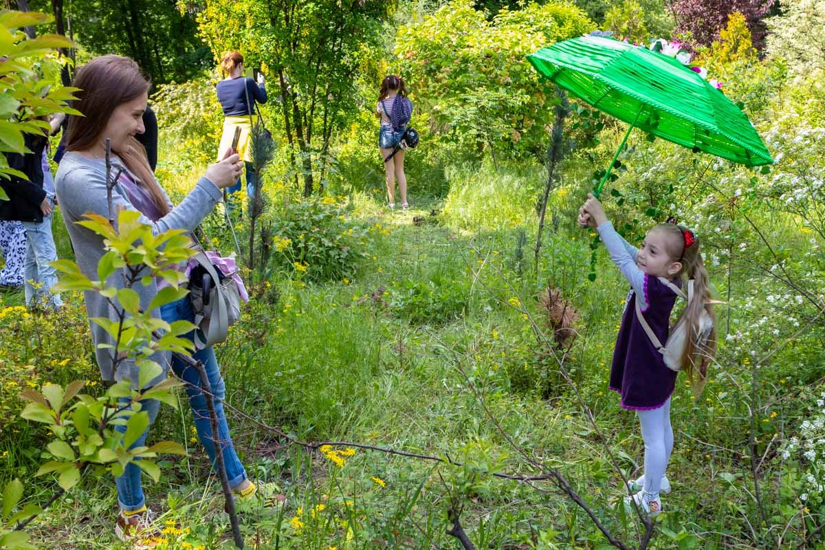 Маленькая лесная фея Маленькая лесная фея