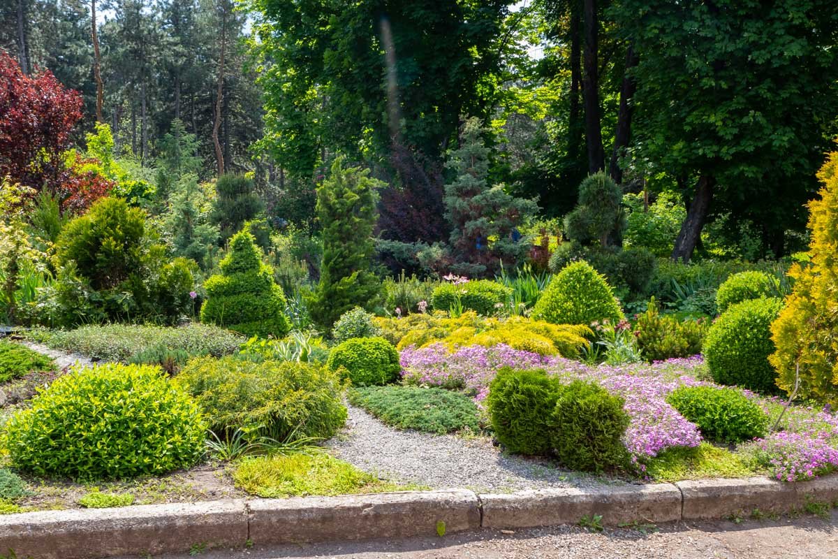 Оторвите взгляд от телефонов - вокруг столько прекрасного Оторвите взгляд от телефонов - вокруг столько прекрасного