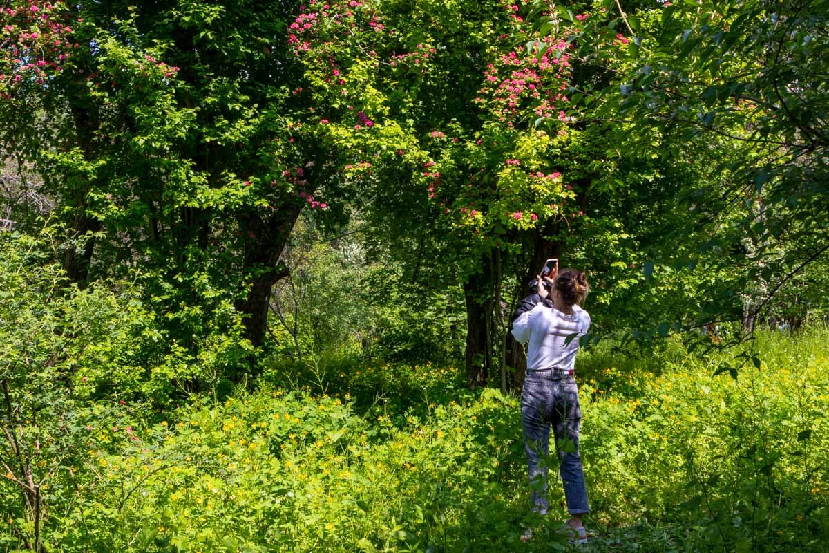 Хочется запечатлеть этот момент Хочется запечатлеть этот момент