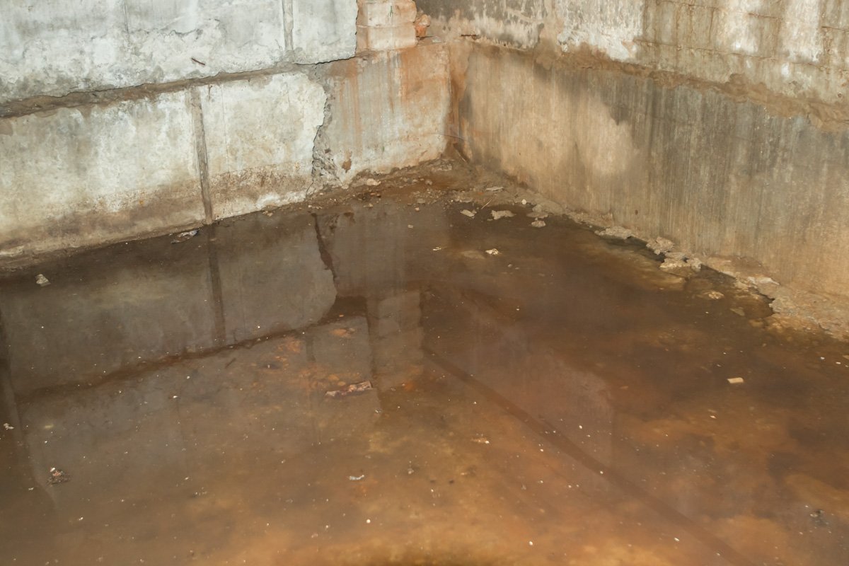 В подвале дома прорвало канализационную трубу В подвале дома прорвало канализационную трубу