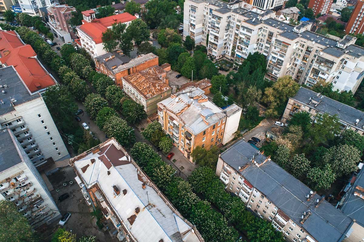 Каштаны цветут Каштаны цветут