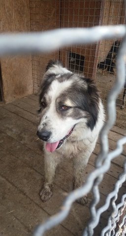 Где же хозяева? Где же хозяева?