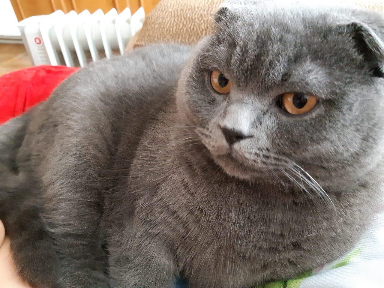 Потеряли друга Потеряли друга