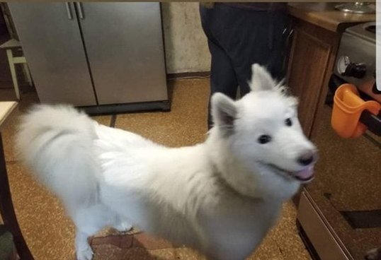 Помогите найти Помогите найти