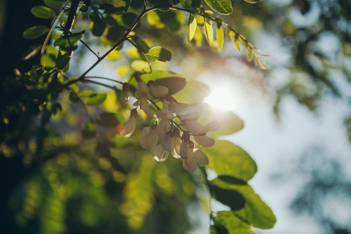 Время любить Время любить