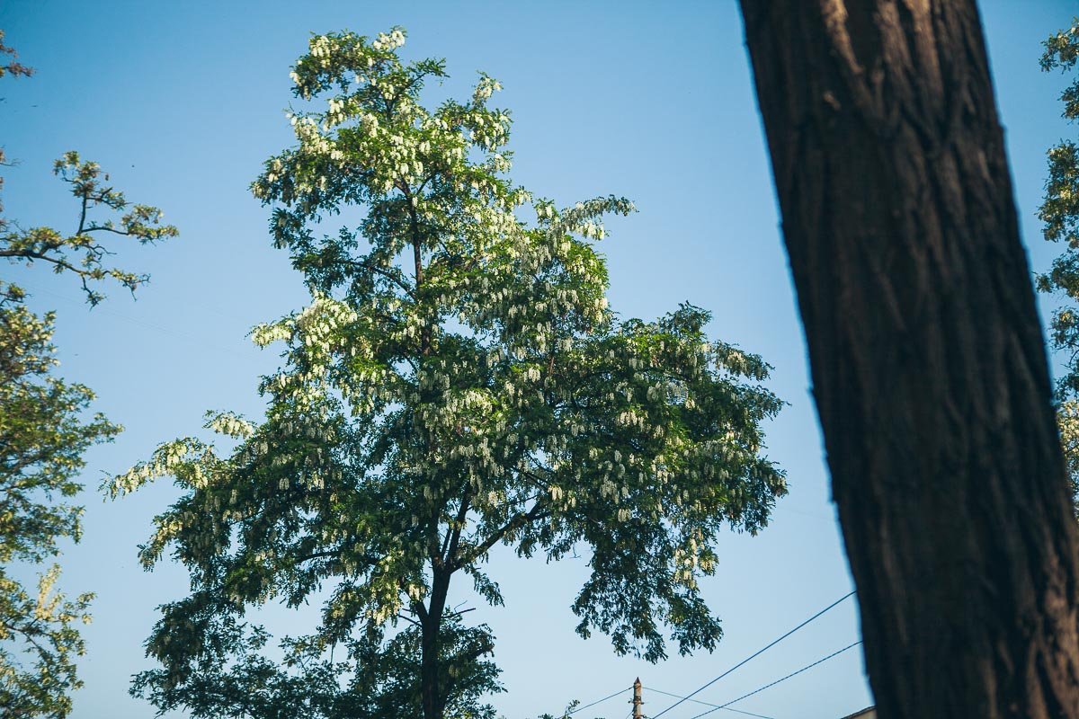 Чувствуете запах? Чувствуете запах?