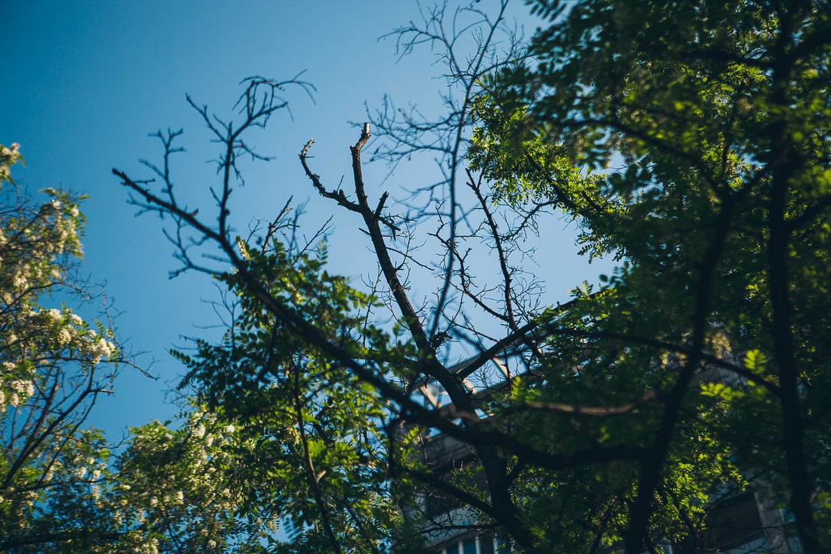 В центре Днепра все укутано запахом В центре Днепра все укутано запахом