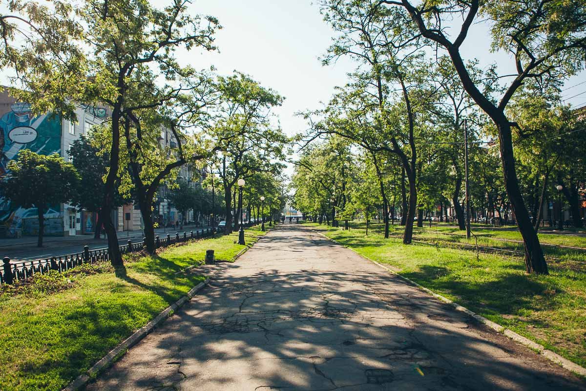 Выходите гулять Выходите гулять