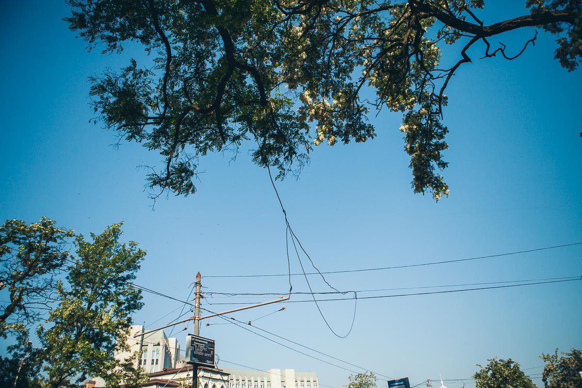 Весна неторопливо приближается Весна неторопливо приближается