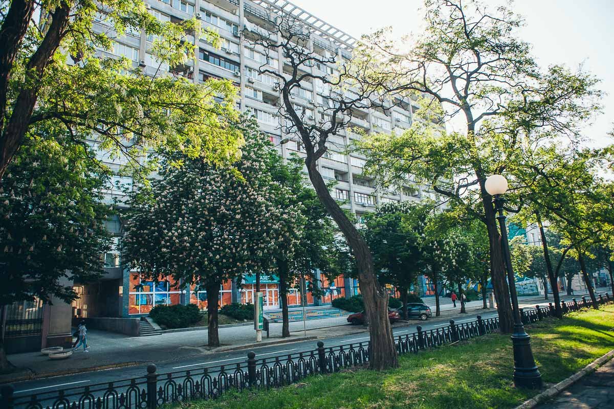 Днепр расцвел Днепр расцвел