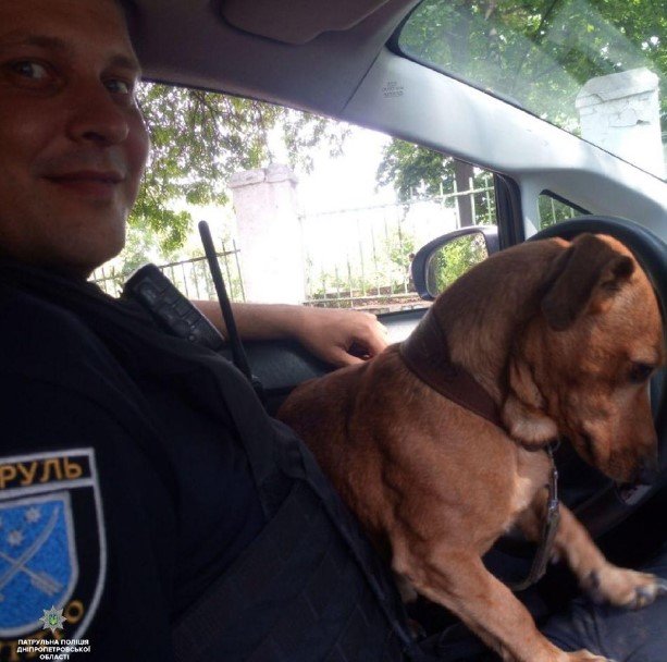 Агрессивную таксу удалось приручить Агрессивную таксу удалось приручить