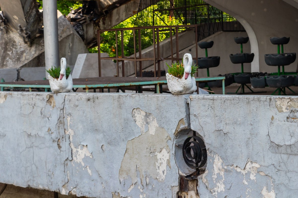 Фото: Дмитрий Федоров Фото: Дмитрий Федоров