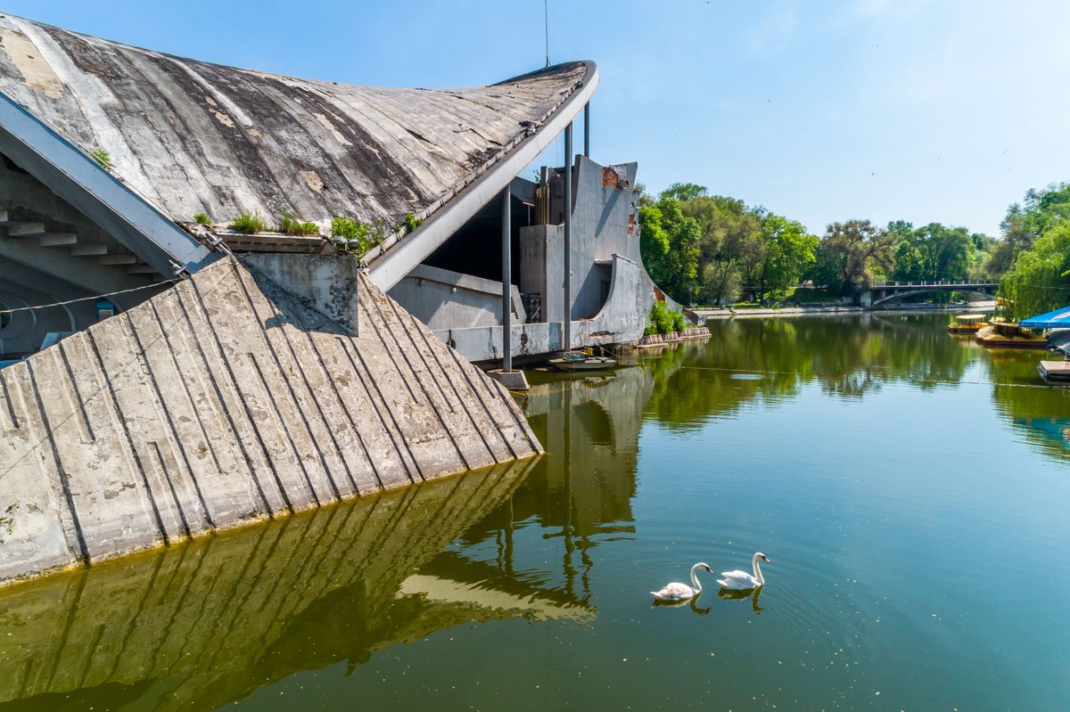 Лебеди радуют глаз Лебеди радуют глаз