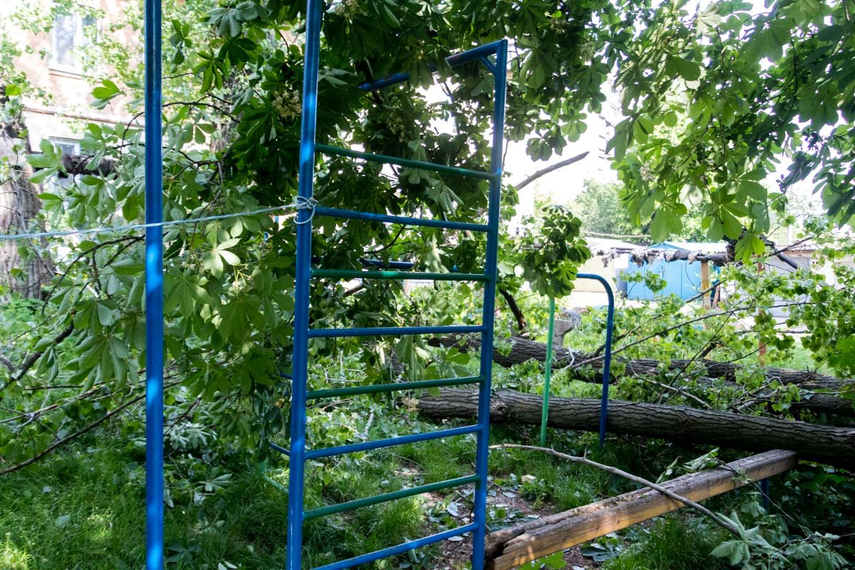 Тут гуляют дети