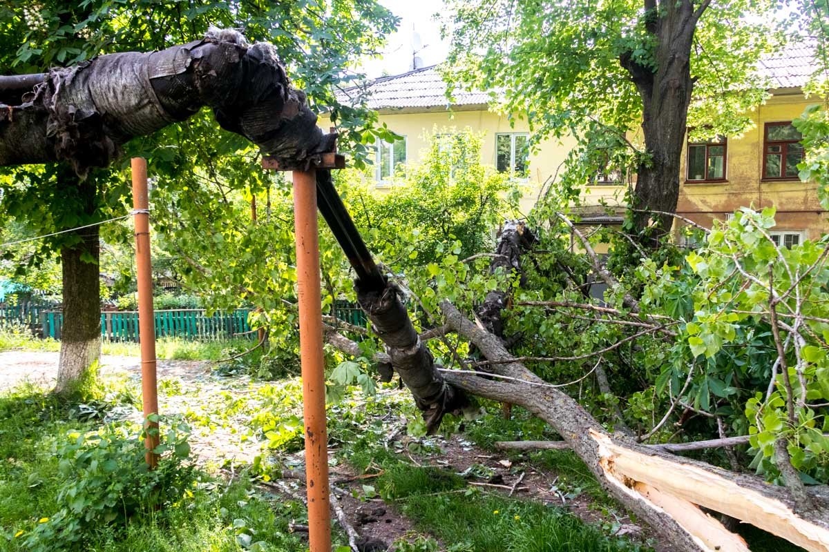 Ветка повредила теплотрассу