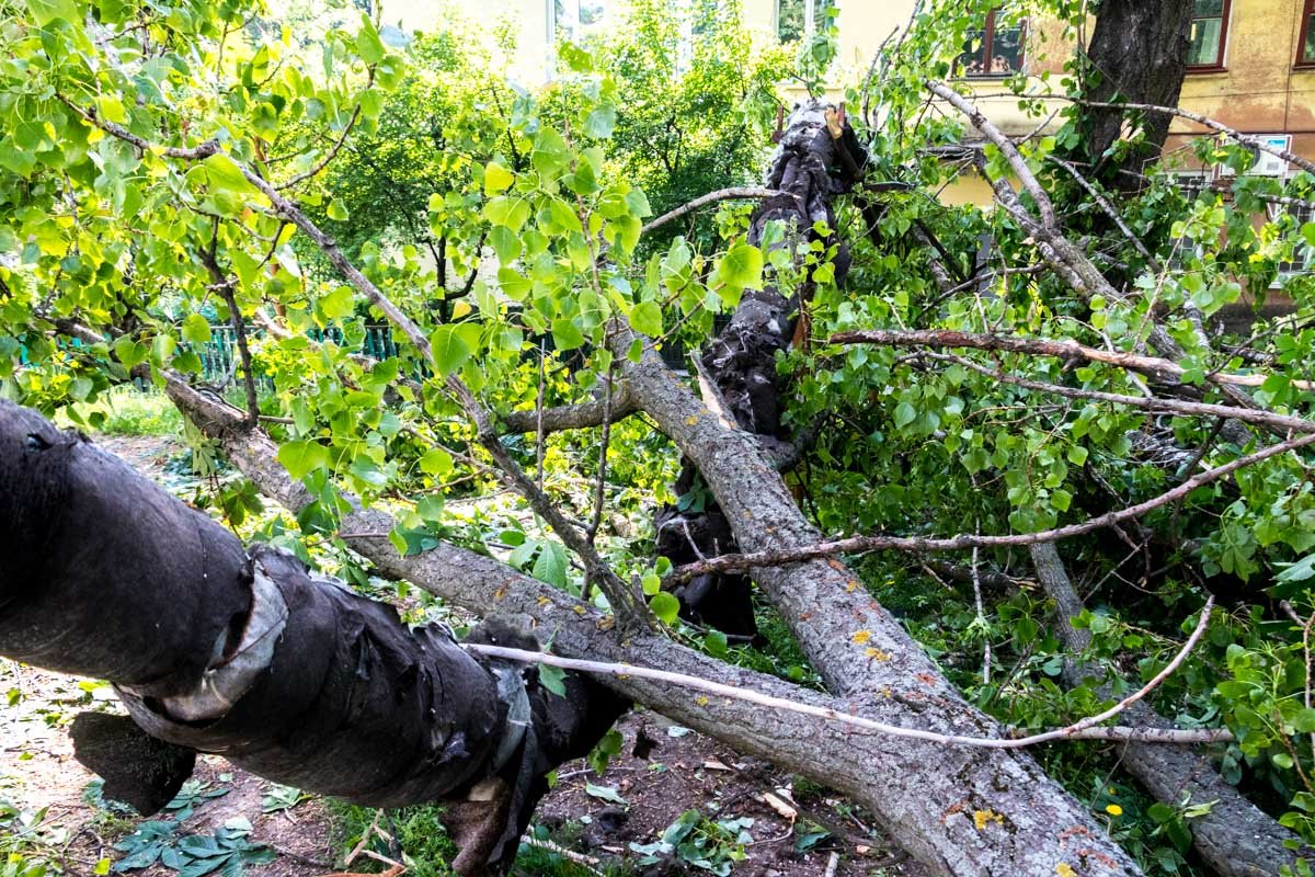 Жильцы звонили в горсовет