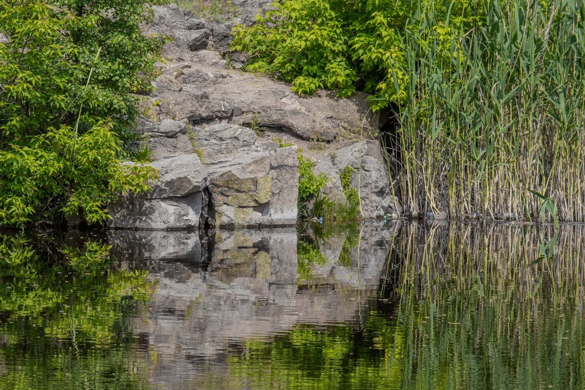 Счастье рядом Счастье рядом