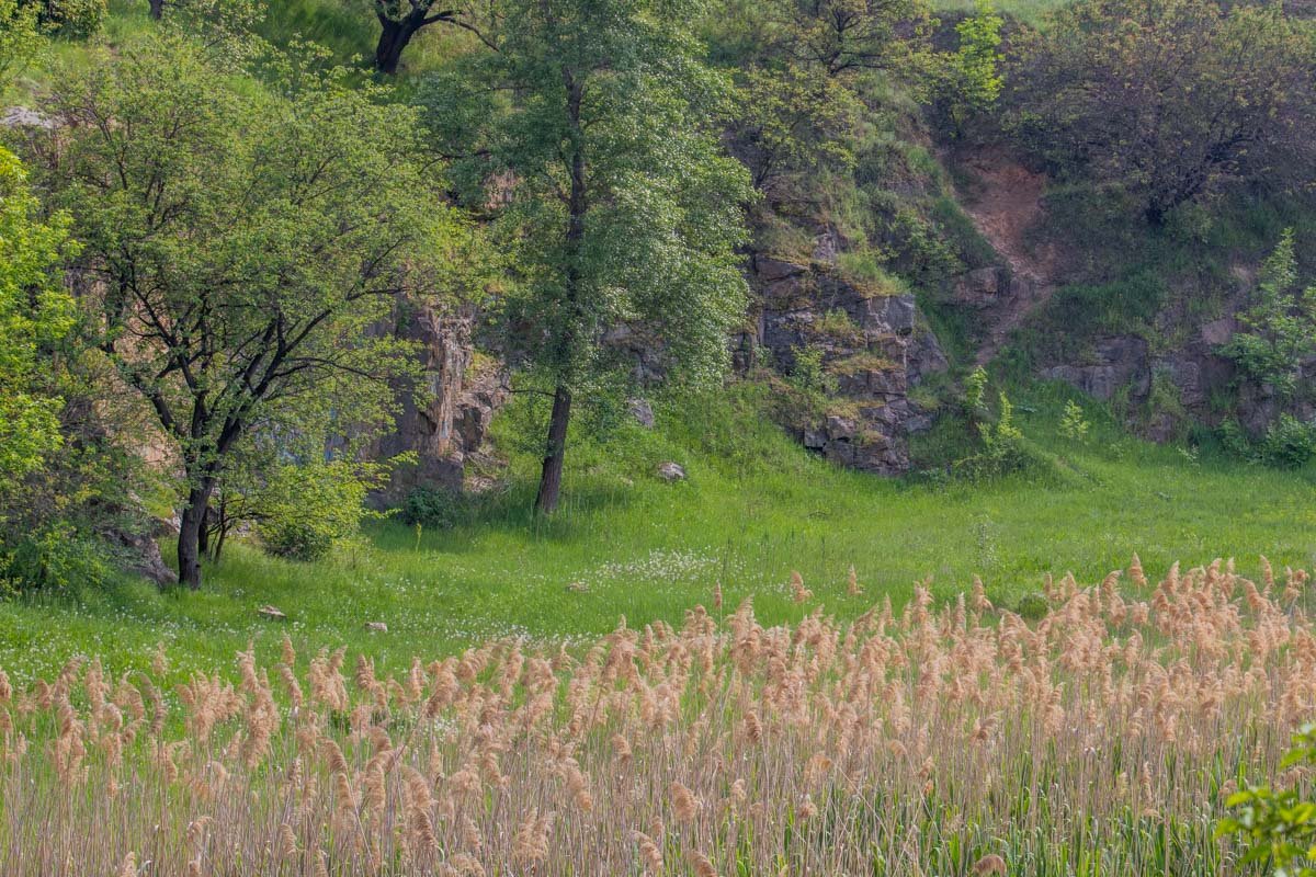 Время для релакса Время для релакса