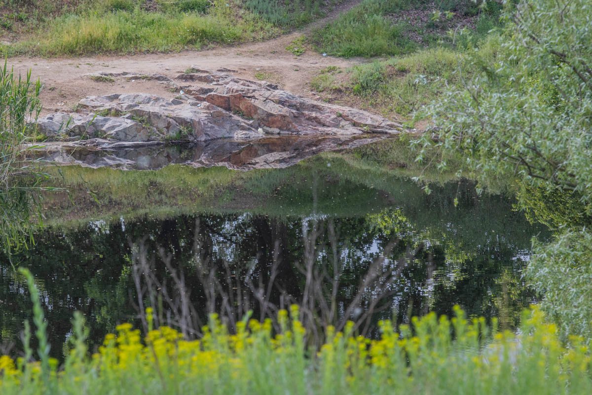 Счастье тут Счастье тут