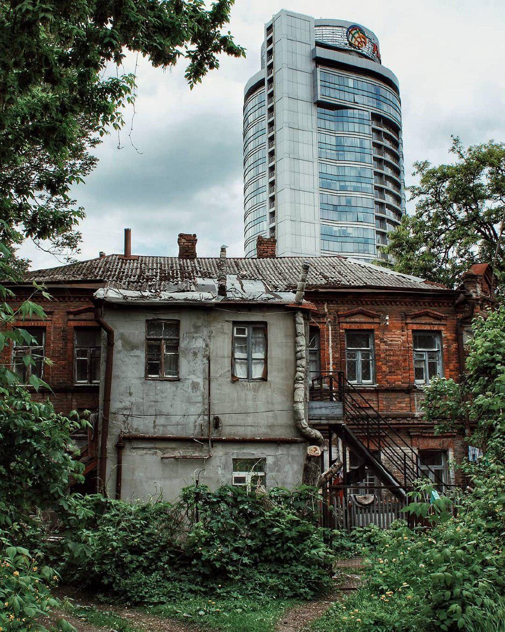 Контраст. Фото: ann_borovik