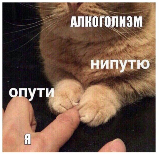 Алкоголизм - это болезнь