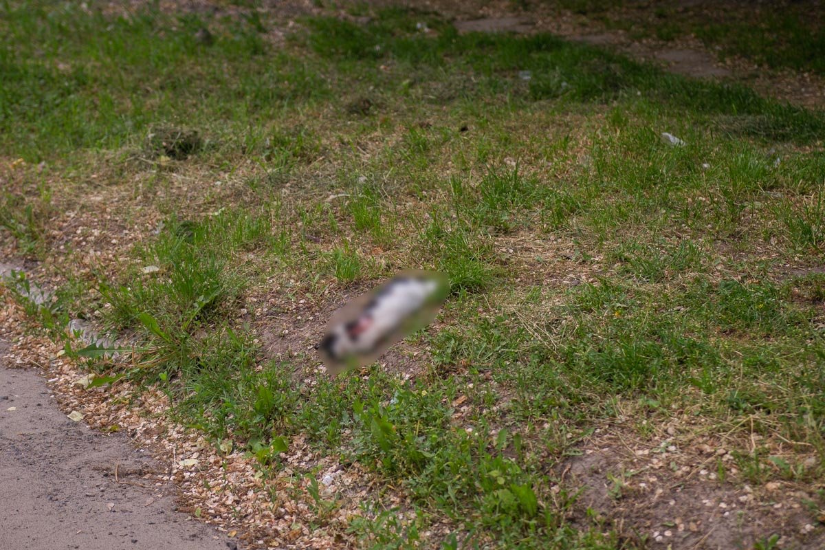 Это не первый случай