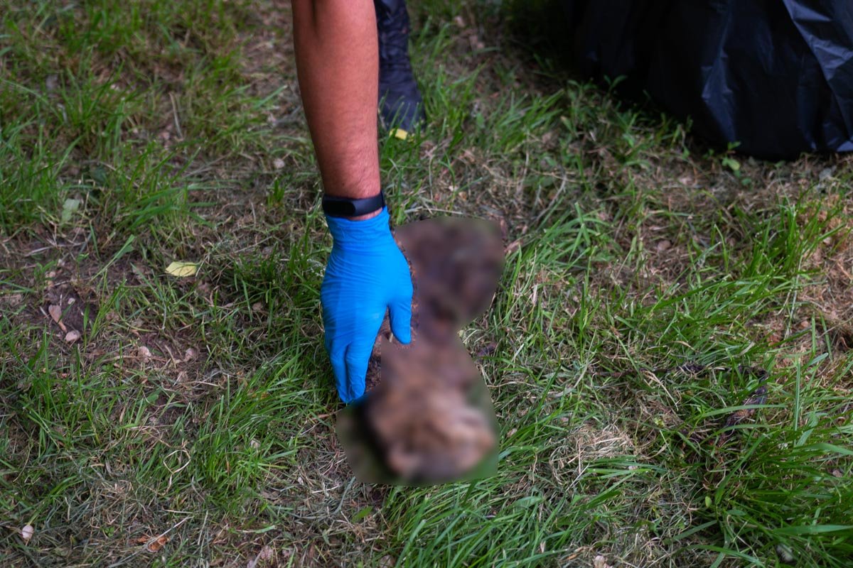 Обращайтесь в полицию Обращайтесь в полицию