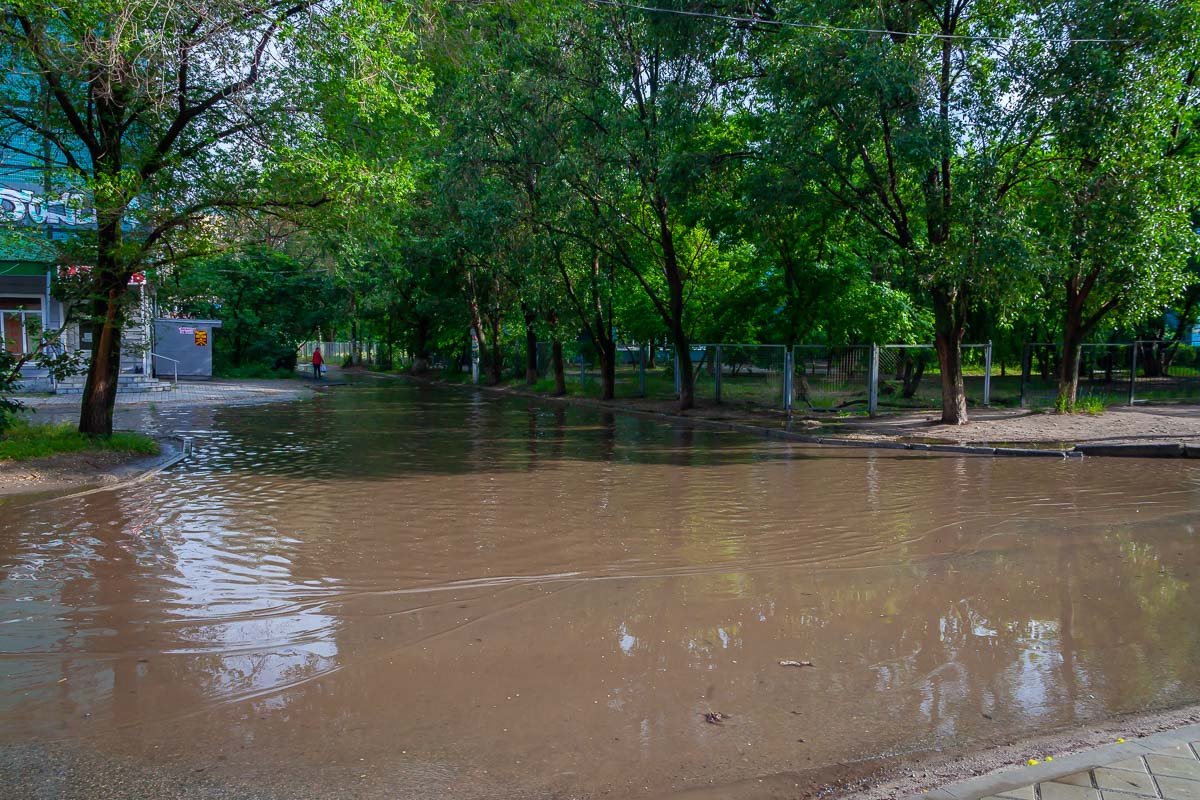 Поплыли Поплыли