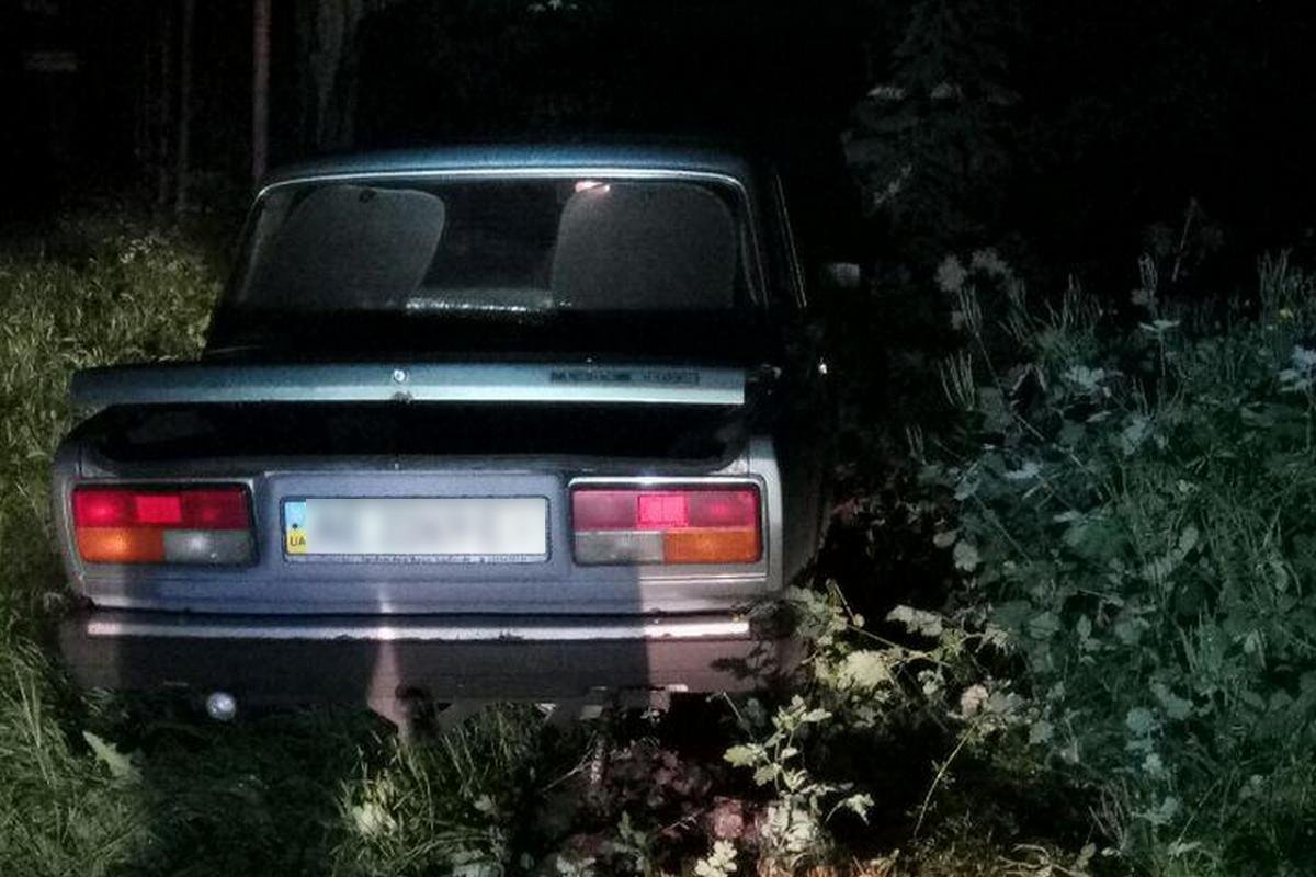 Мужчина не справился с управлением и слетел с дороги