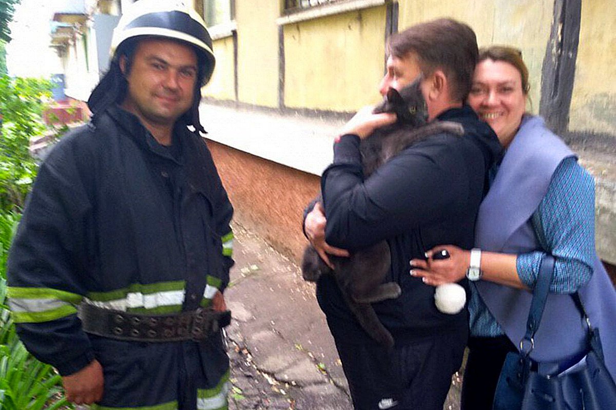 Пушистика вернули в любящие руки хозяев Пушистика вернули в любящие руки хозяев