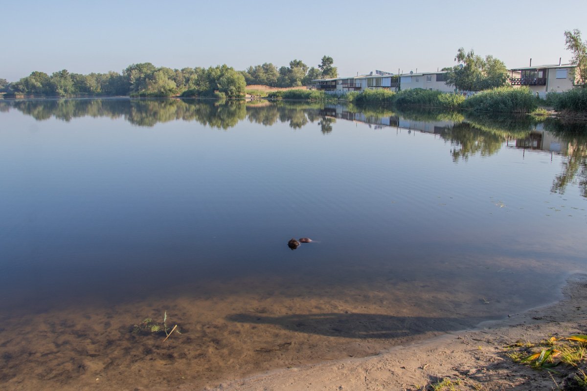 Тело находилось в метре от берега Тело находилось в метре от берега