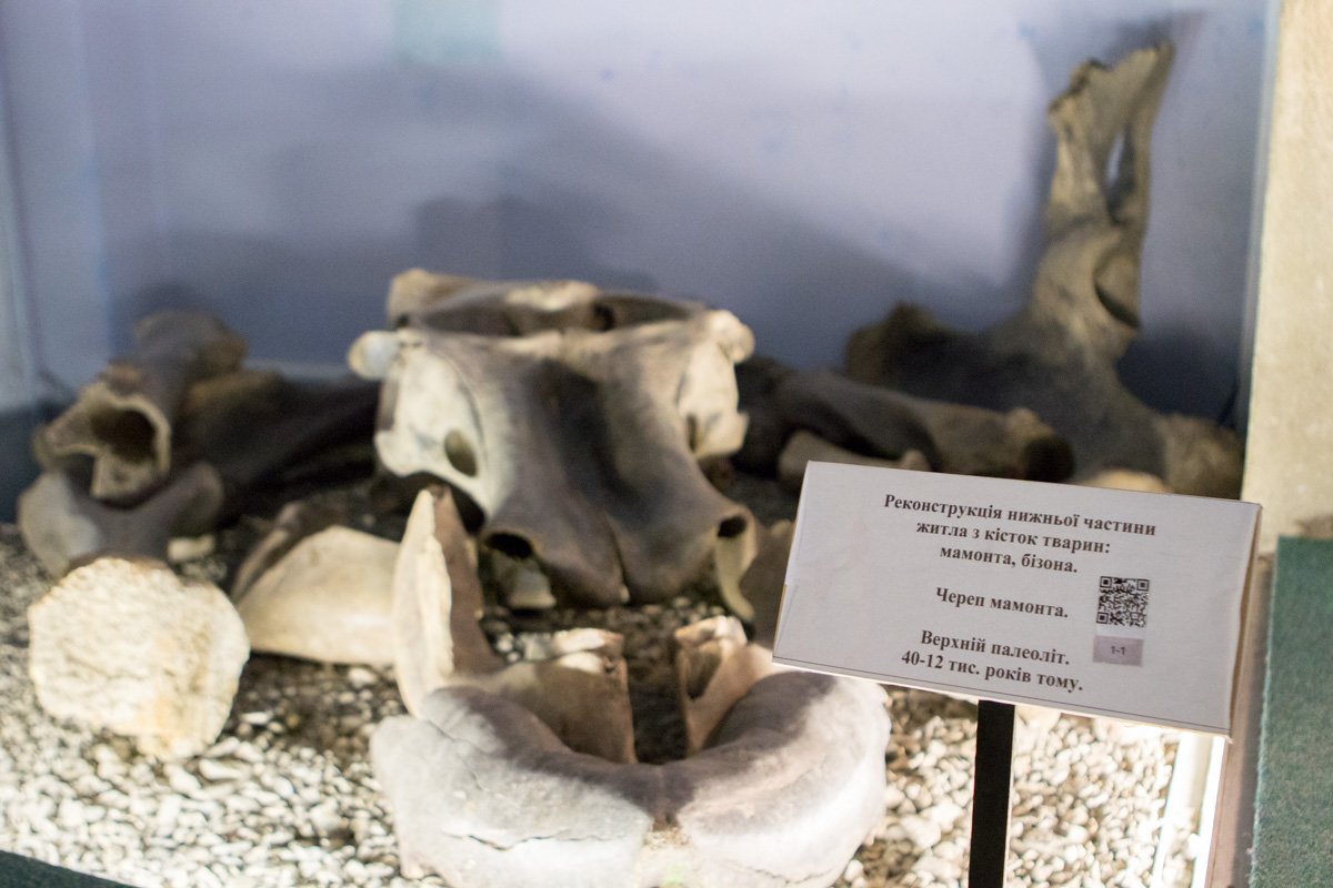 Система предоставит доступ к материалам музея через Wi-Fi к QR-кодам на экспонатах