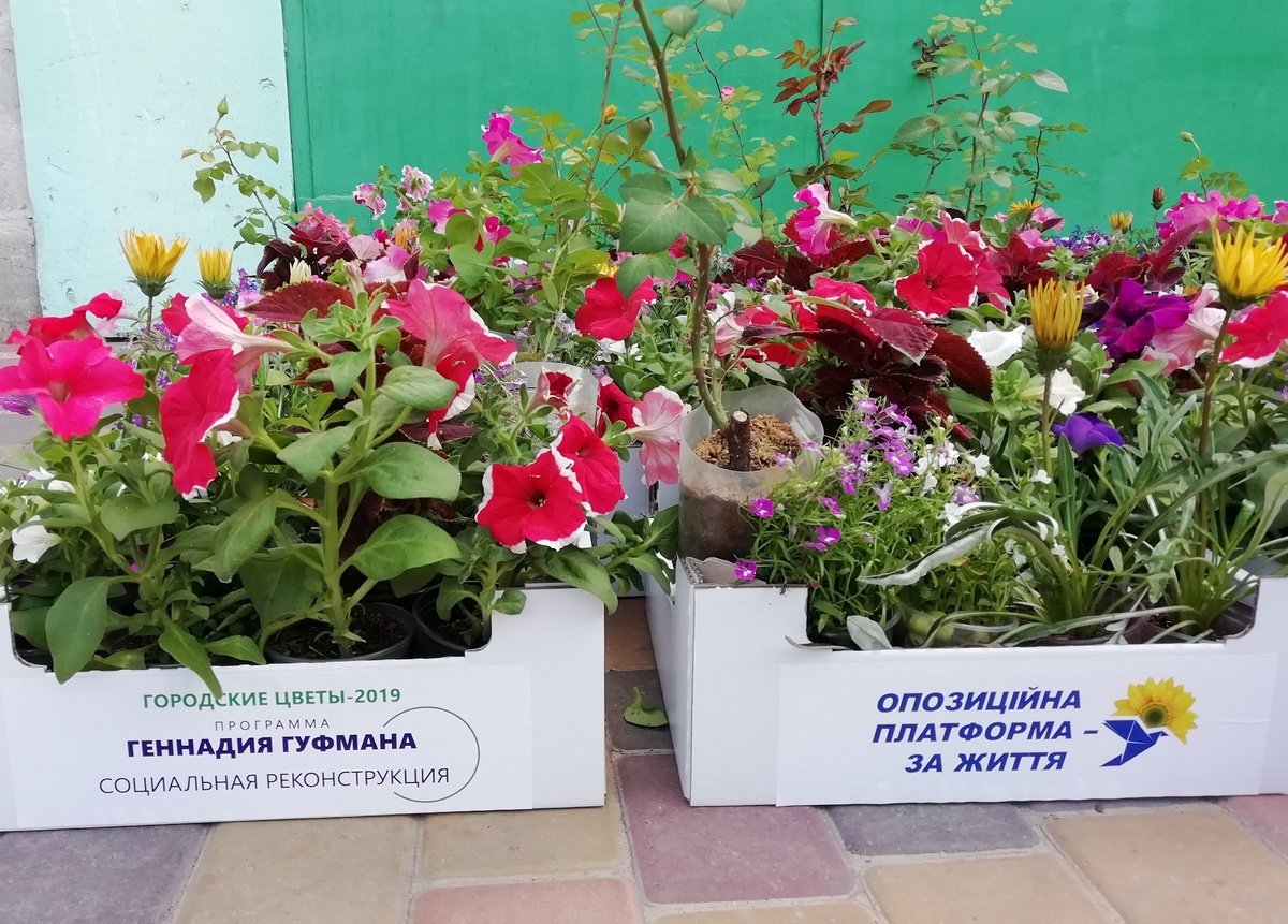 Дворы Днепра наполнятся цветами Дворы Днепра наполнятся цветами