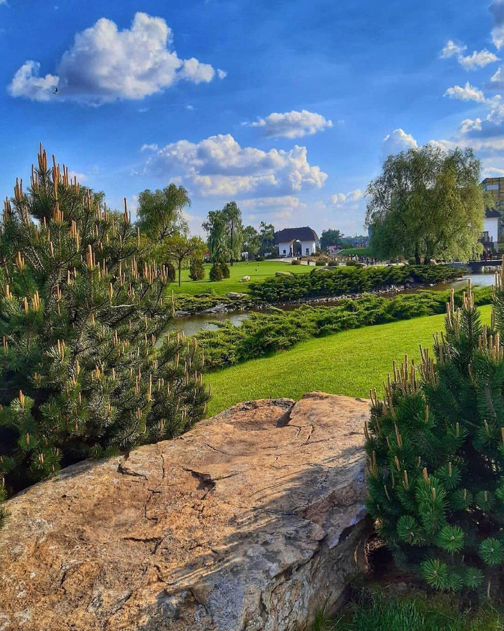 Весна. Фото: kaverina7315  Весна. Фото: kaverina7315