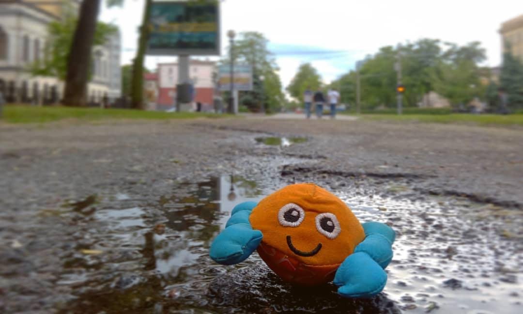 Радуйтесь. Фото: mouskina_loki Радуйтесь. Фото: mouskina_loki