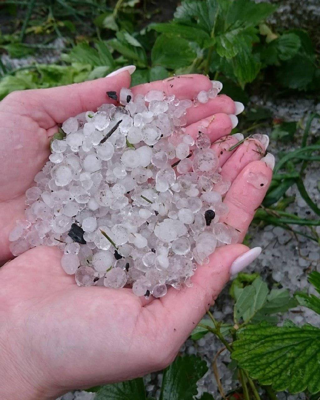 Можно играть в снежки Можно играть в снежки