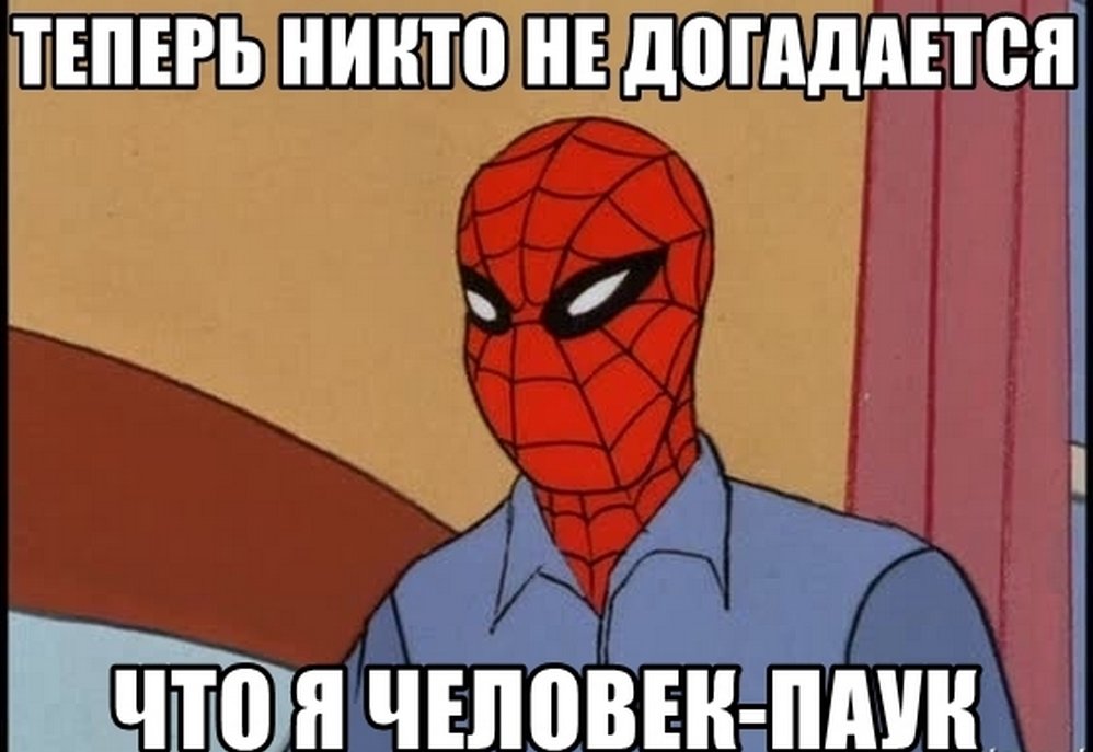 Лето - пора для пауков Лето - пора для пауков