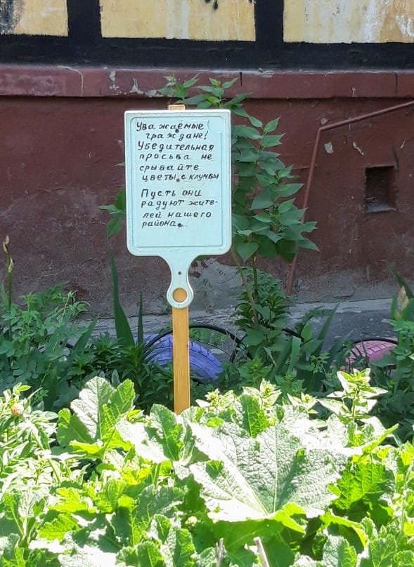 Кто-то вежливо просит оставить цветы в покое