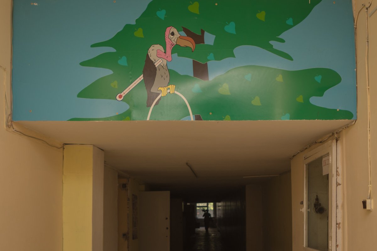 Птичка грустит и ждет ремонта